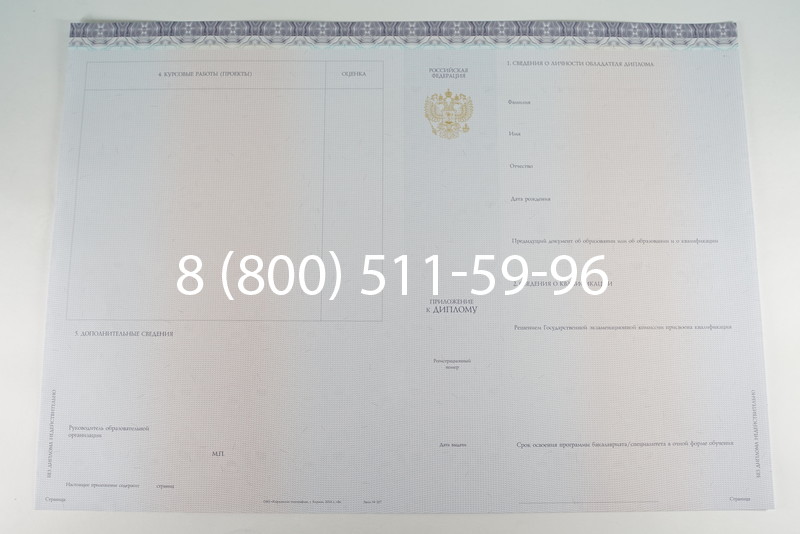 Диплом бакалавра (Киржач) 2014-2024 года в Саранске