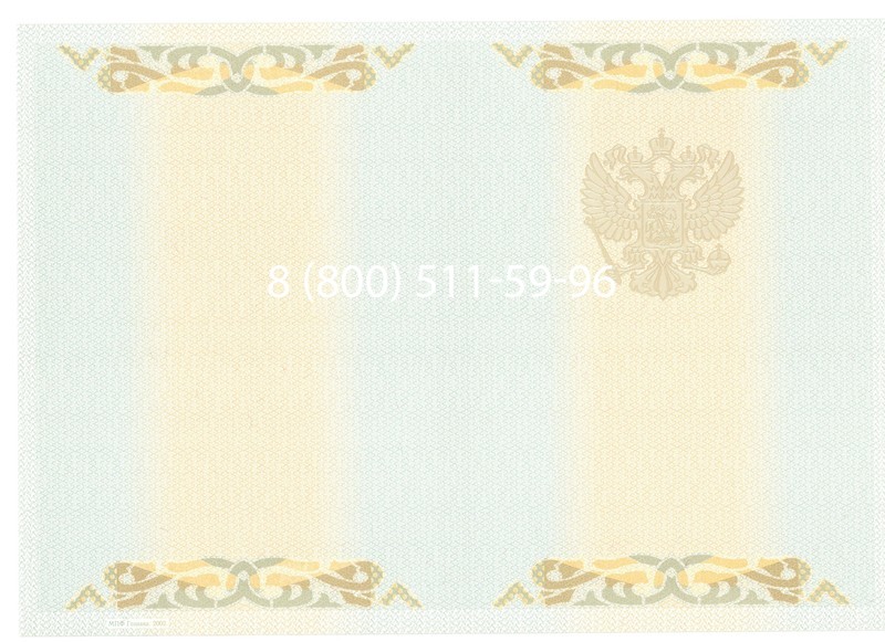 Купить Диплом бакалавра 2003-2009 годов в Саранске
