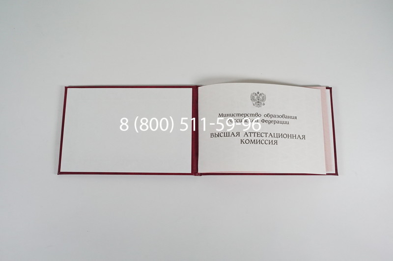 Диплом доктора наук 1995-2006 года в Саранске Диплом доктора наук 1995-2006 года в Саранске