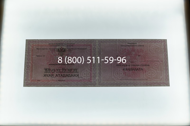 Заказать Диплом кандидата наук 2010 в Саранске