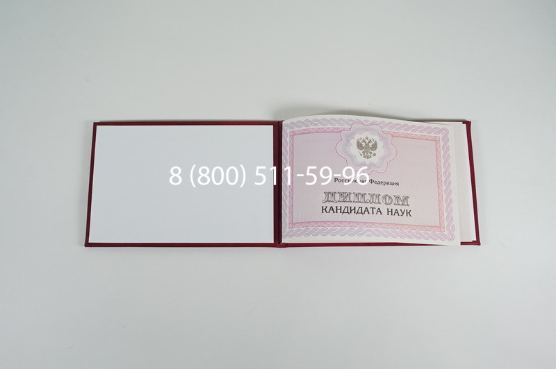 Заказать Диплом кандидата наук 2010 в Саранске