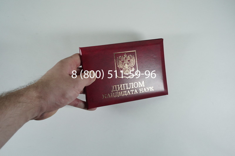 Диплом кандидата наук 2010 в Саранске