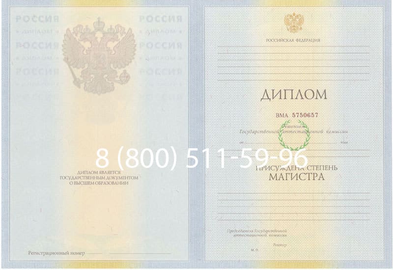 Купить Диплом магистра 2010-2011 годов в Саранске