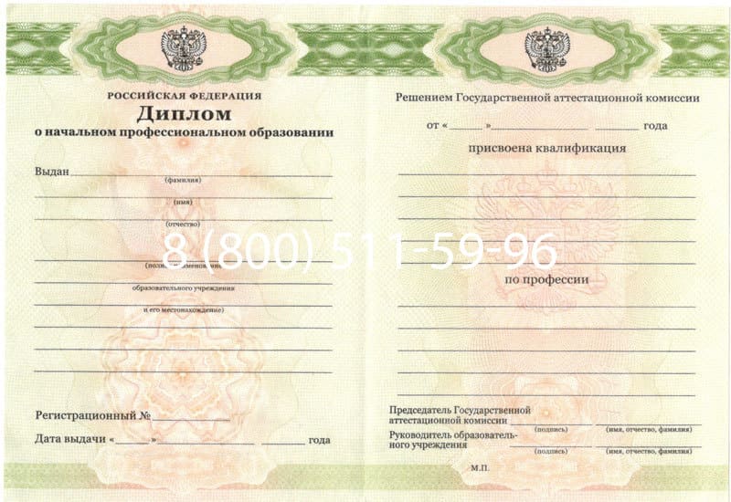 Купить Диплом о начальном образовании  2010-2024 годов в Саранске