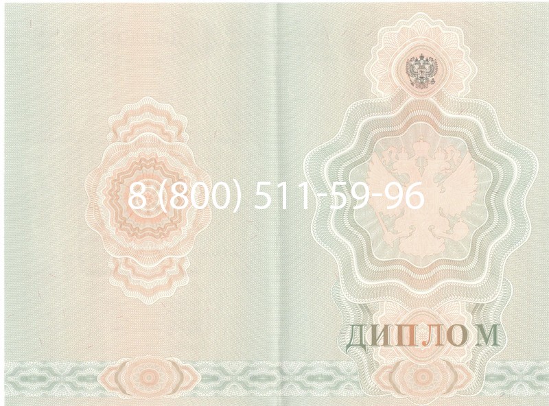 Купить Диплом ПТУ 2007-2010 годов в Саранске Купить Диплом ПТУ 2007-2010 годов в Саранске