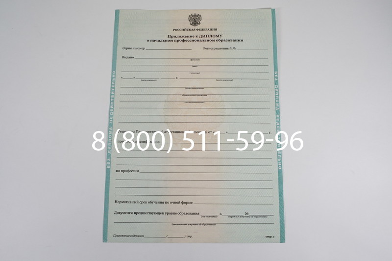 Диплом ПТУ 2014-2024 года в Саранске