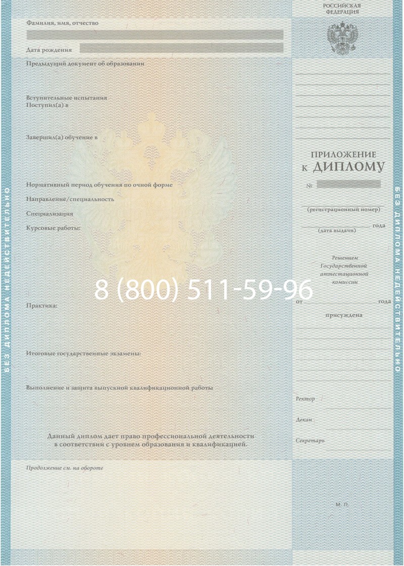 Заказать Диплом специалиста 2010-2011 годов в Саранске