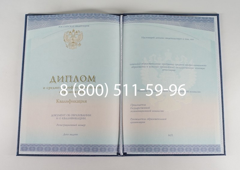Диплом колледжа (Спецбланк) 2014-2024 года в Саранске