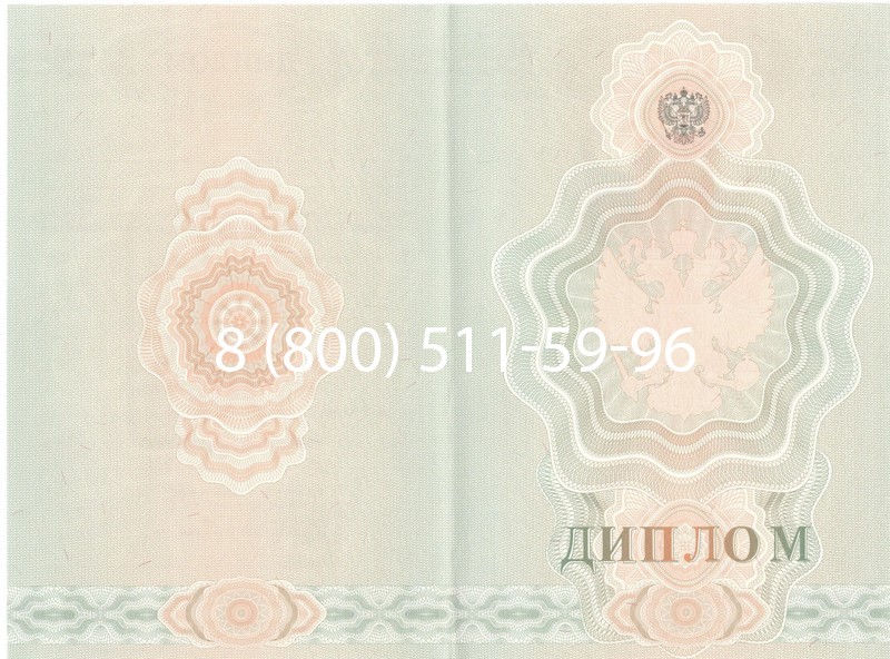 Купить Диплом училища 2007-2009 годов в Саранске Купить Диплом училища 2007-2009 годов в Саранске